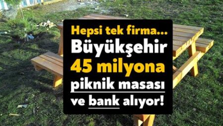 Kocaeli Büyükşehir Belediyesi Park ve Bahçeler Müdürü Alımı