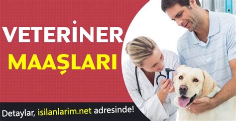 Ordu Büyükşehir Belediyesi Veteriner Hekim Alımı